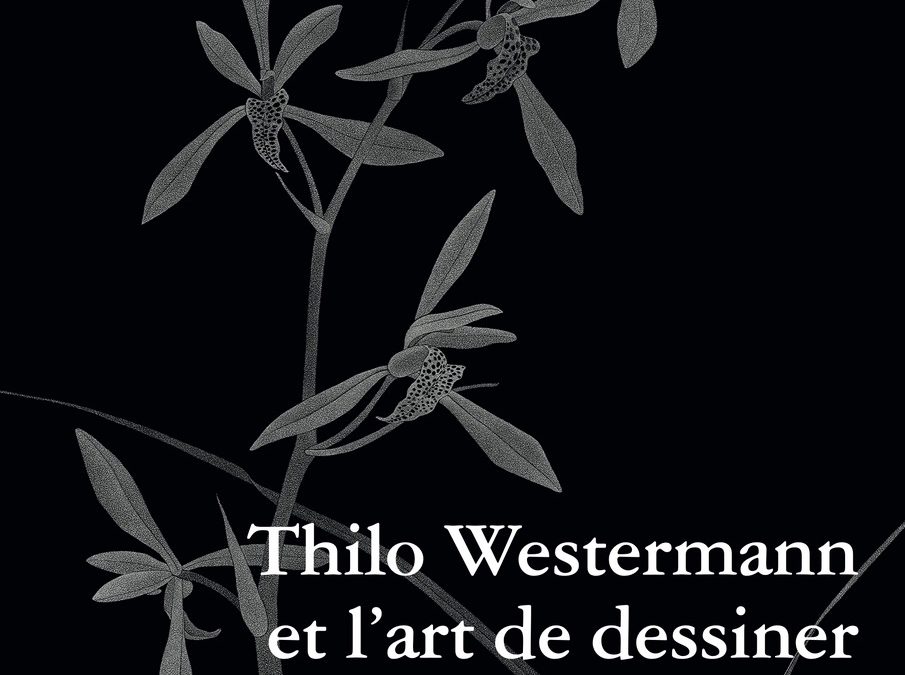 Thilo Westermann et l’art de dessiner sous verre